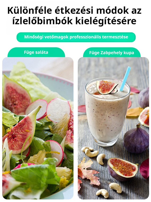 【Magas tápértékű】füge magok