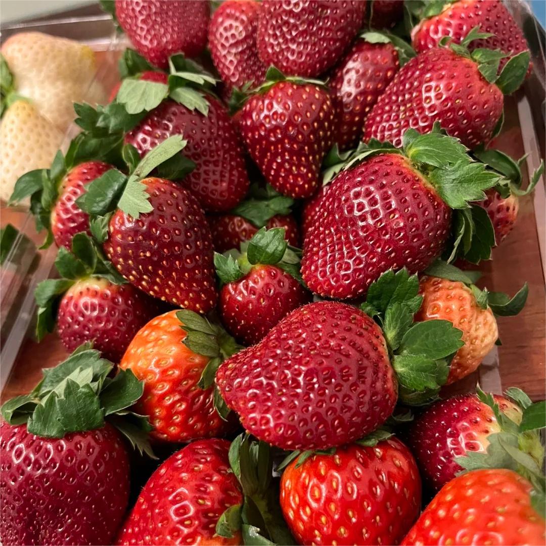 Fekete gyöngy epermagok