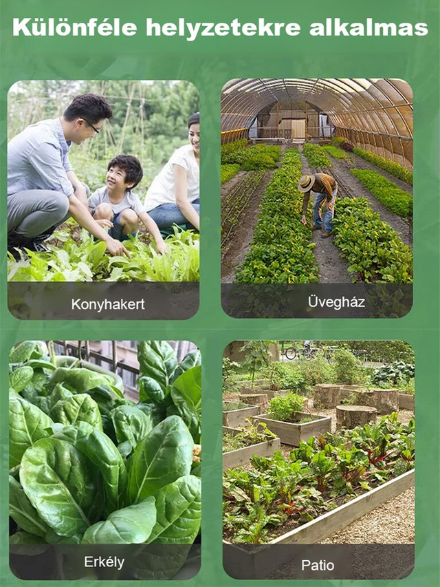 Egyszerűen termeszthető: mexikói uborka