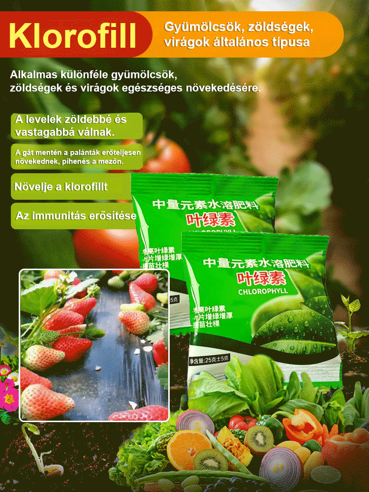 【Zöldtömeg-növelő】 Vízoldékony klorofill-tápoldat