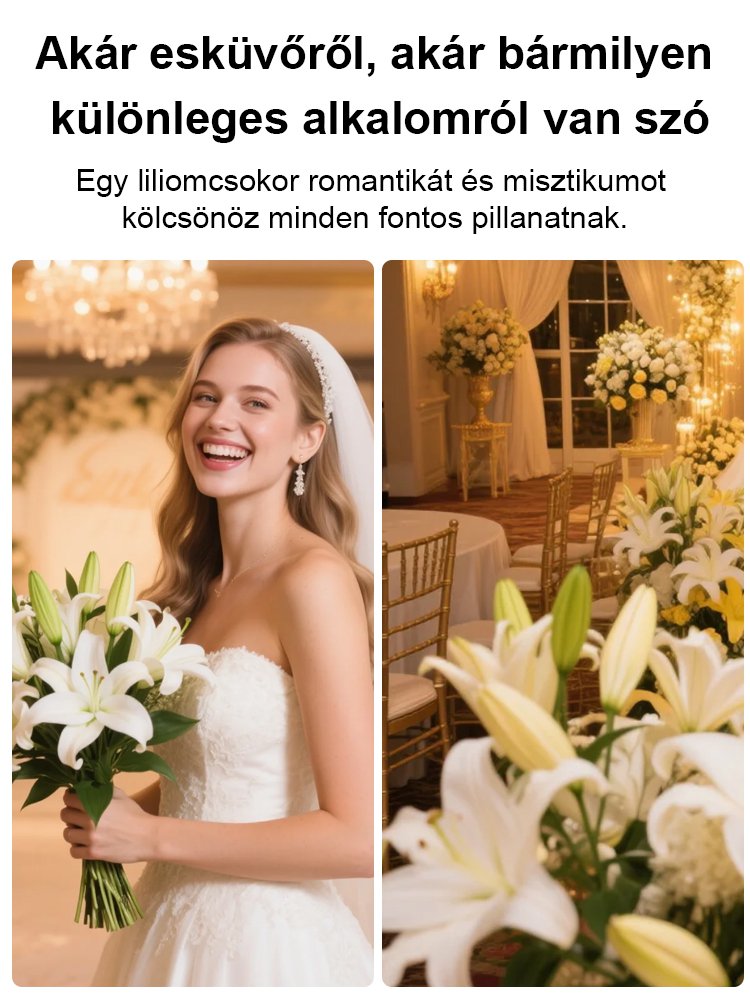 Négy évszak liliom hagymák