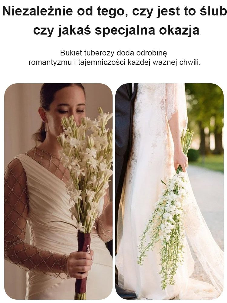 【Illatosabb, mint a parfüm】A tubarózsa virágai több ezer kilométeren át illatoznak, minden évben virágzik.