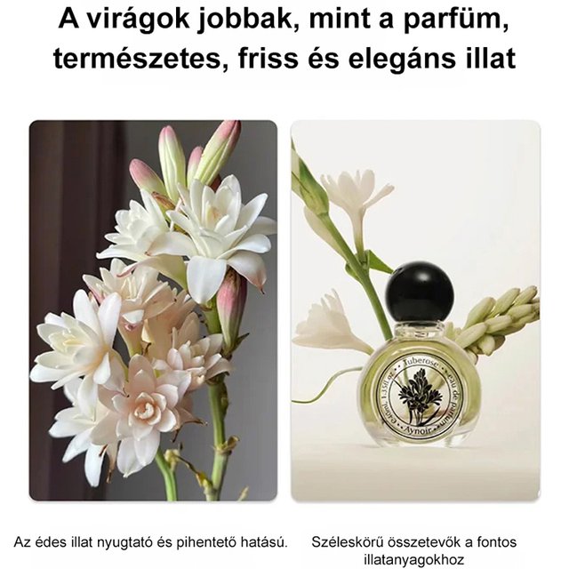 Éjszakai illatú tuberóza hagyma virág