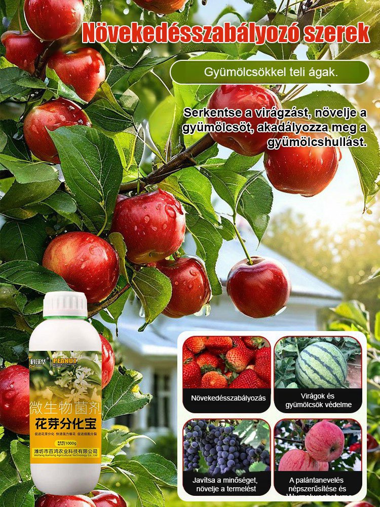 Virágrügy differenciálódás kincs